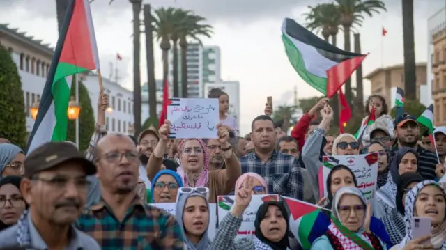 A crowd of people wave Palestinian flags and hold signs