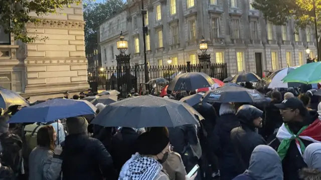 A crowd holds umbrellas outside Downing Street