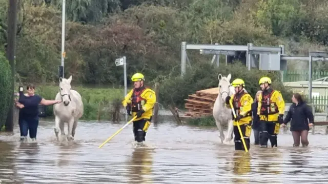 Two horses being rescued from water