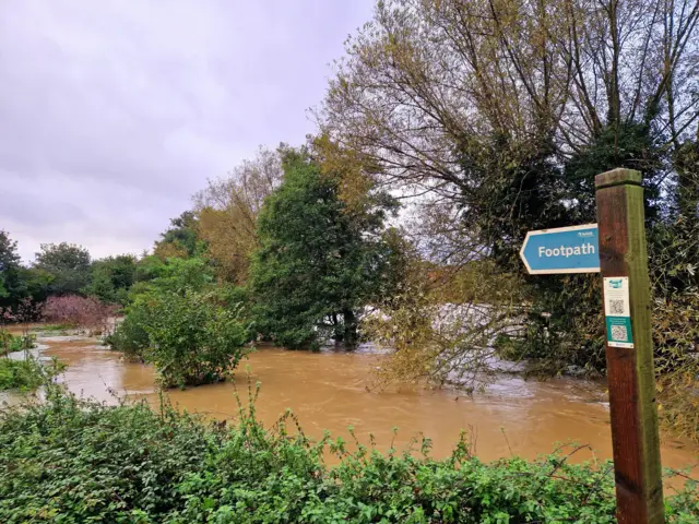 Flooding in Needham Market shows high water level on a footpath with just the tops of trees visible