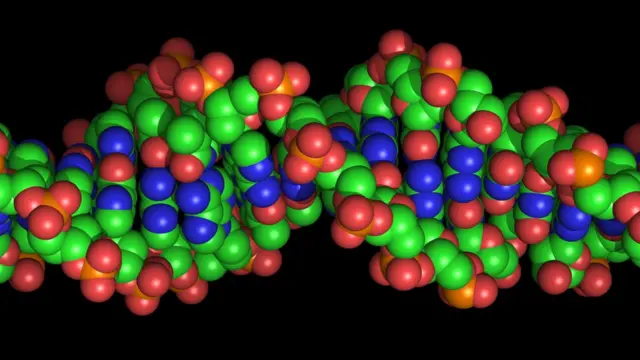 DNA strand