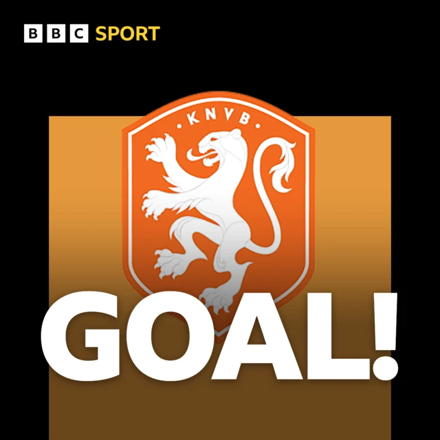 Netherlands goal