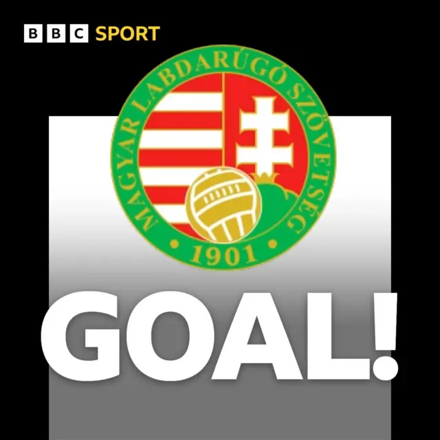 Hungary goal