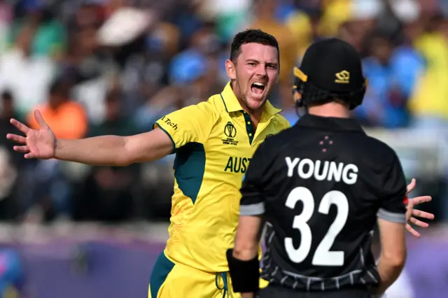 Josh Hazlewood celebrates the wicket of Will Young