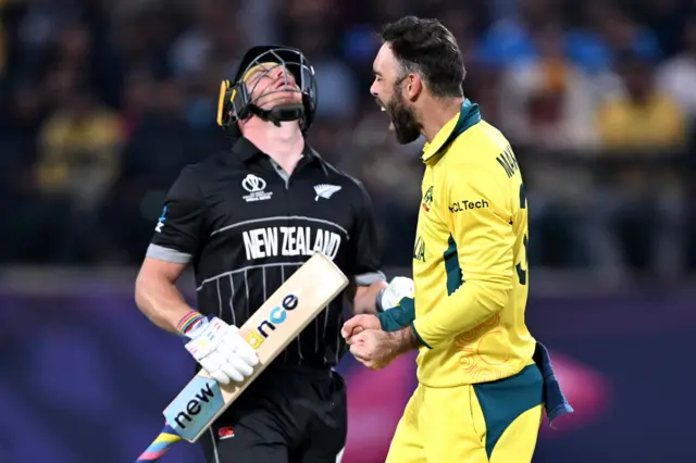 Glenn Maxwell celebrates the wicket of Glenn Phillips