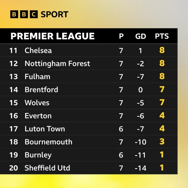 Premier League bottom half