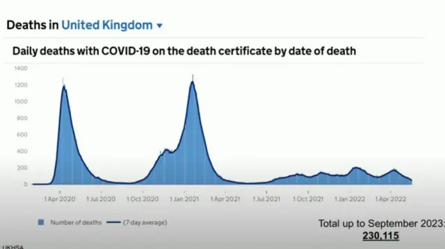 Graph shown during UK Covid inquiry