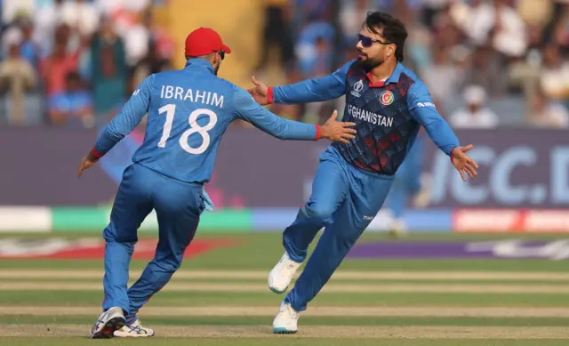 Rashid Khan celebrates a wicket