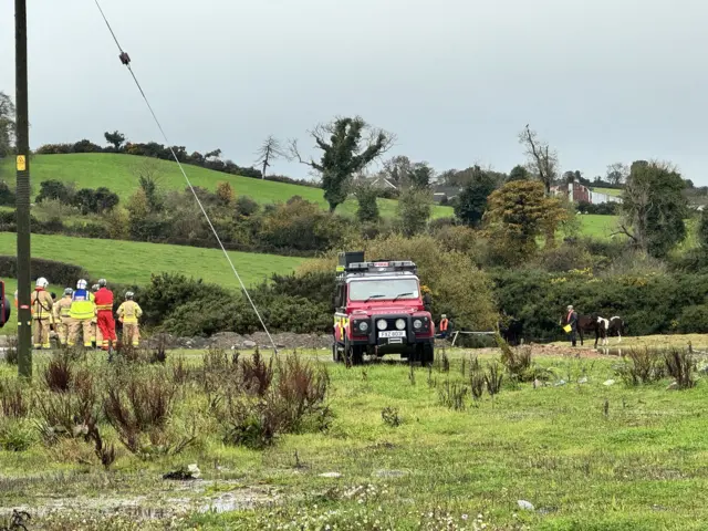 Fire Service helping to rescue a horse