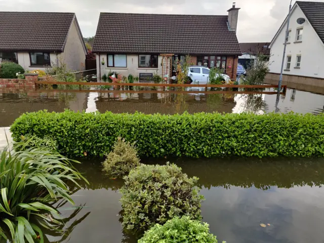 A flooded garden