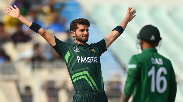 Shaheen Afridi celebrates trapping Tanzid Hasan lbw