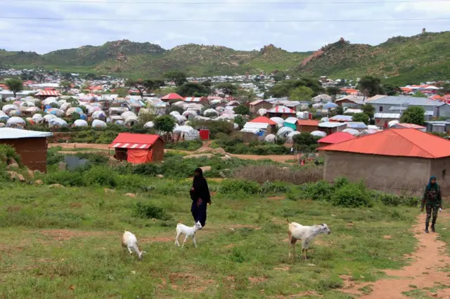 A view of Qoloji IDP camp, the largest camp in Ethiopia housing over 100,000 displaced individuals, visited by Anadolu on July 10, 2023.