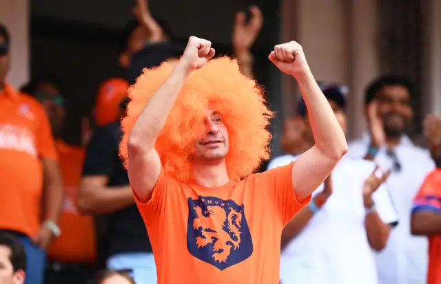 Netherlands fan