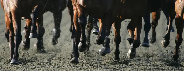 Horses hooves running