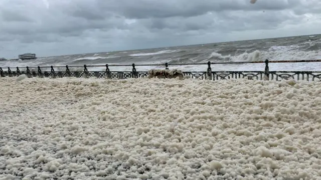 Hove beach