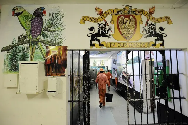 Prisoners walk in a corridor at the Pollsmoor Prison in Cape Town, near painted murals of parrots, on March 18, 2011.