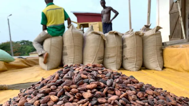 Cocoa beans are pictured next to a warehouse at the village of Atroni, near Sunyani, Ghana