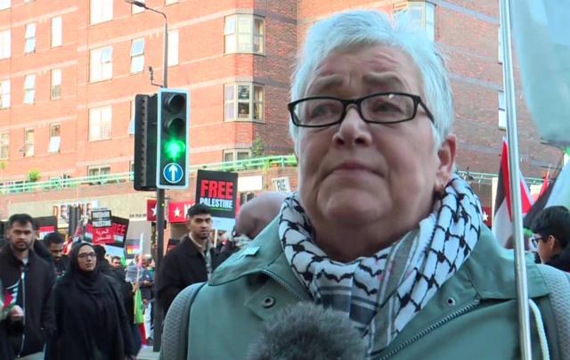 Protesters took to the streets in London in support of Palestinians - 11 November 2023