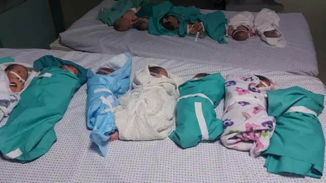 14 newborn babies lying on two adult hospital beds