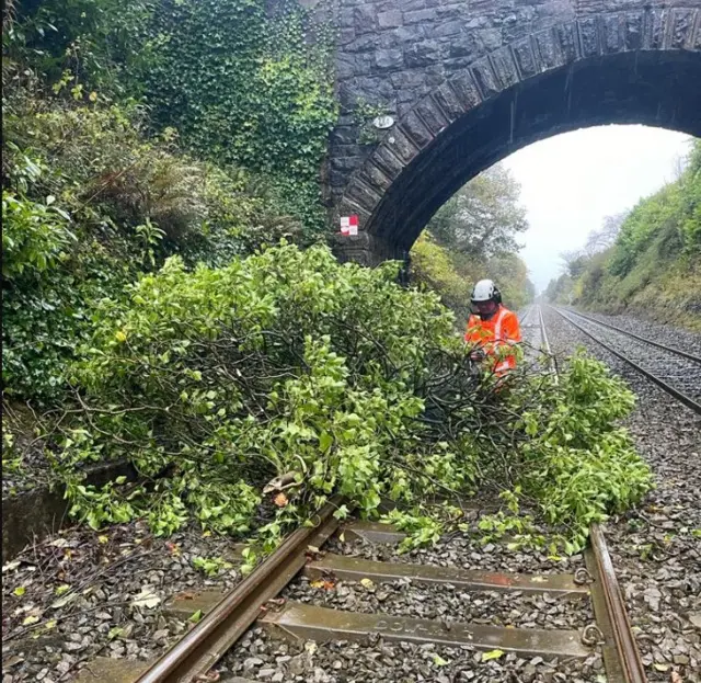 Tree on train tracks