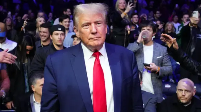 Donald Trump at the UFC 295 event at Madison Square Garden on Saturday