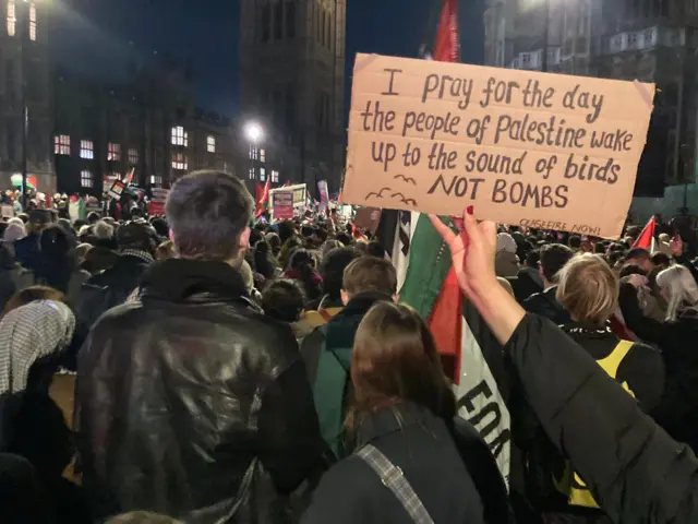 Crowds attend ceasefire rally in London