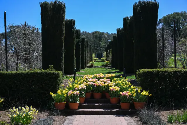 Gardens at Filoli in Woodside, California