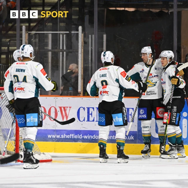 Belfast Giants goal