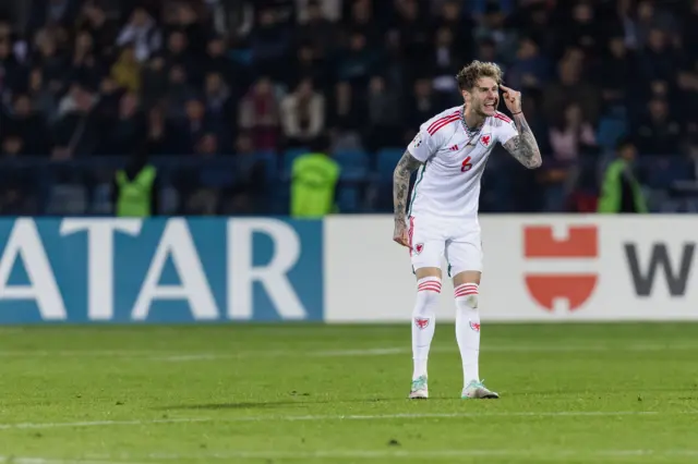 Joe Rodon urges his team-mates on