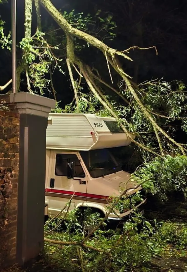 Picture shows a tree fallen on his motorhome