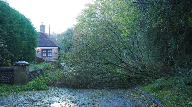 A fallen tree blocks a lane in Barnham, West Sussex