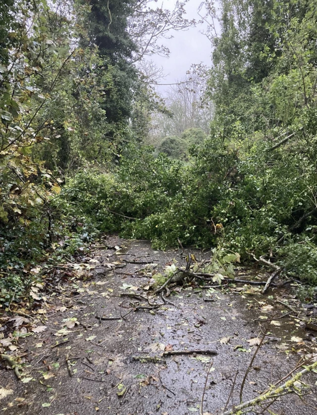 Oldstairs Road in Kingsdown near Deal is blocked with fallen trees.