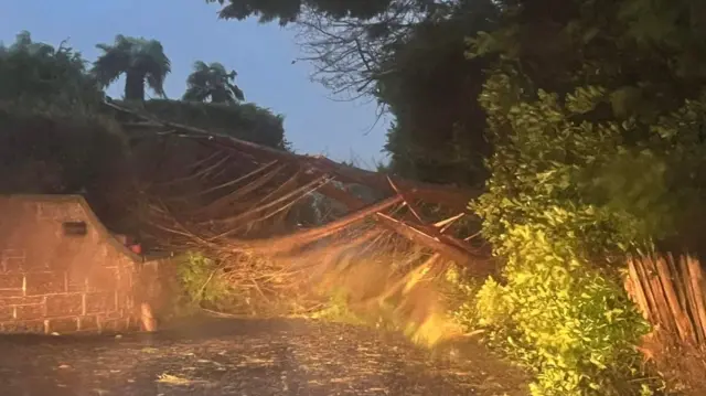 Tree down on Chemin de Moulin