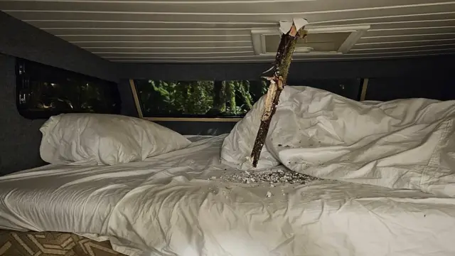 Picture shows a tree branch pierced into the ceiling above the bed in a motorhome, almost touching the mattress