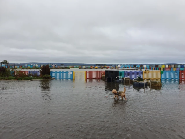 Hamworthy Park