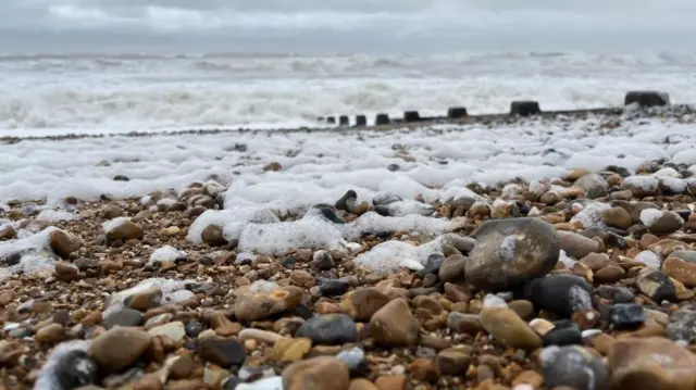 Hove beach