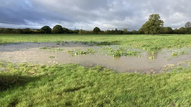 Farmland near Tonbridge