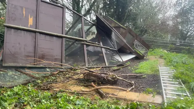 Destroyed animal shelter