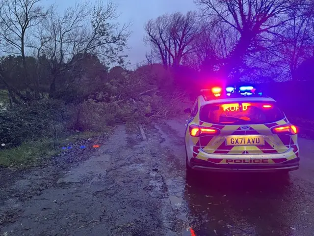 Tree down in Hellingly