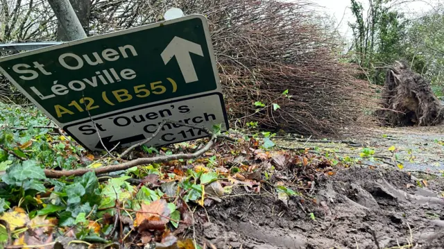 Trees and road sign down in St Ouen