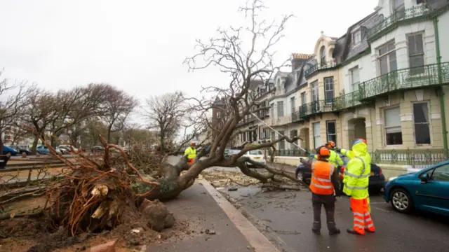 Emergency service people are in the foreground trying to deal with large trees that have been uprooted and fallen over on a street with homes