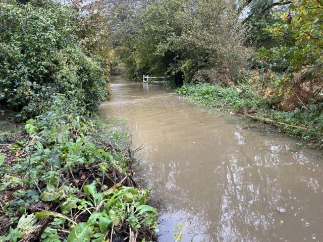 Hellingly flooding