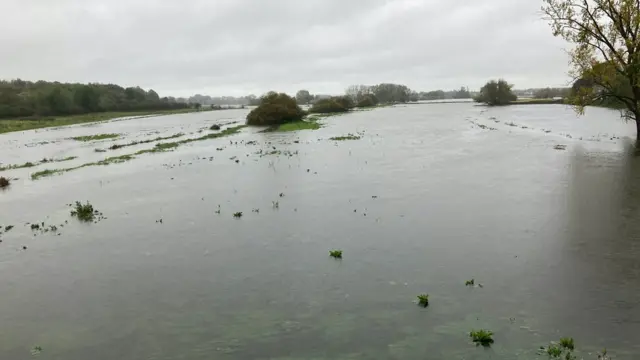 Fields at Radford Bank in Stafford under water