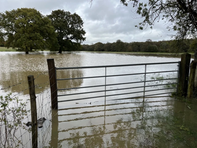 Flooded fields in Hellingly