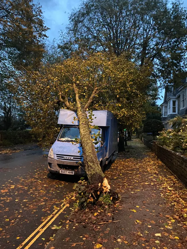 Large tree has fallen over and damaged the top of a van on top of which it is leaning