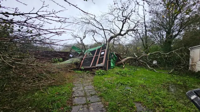 Destroyed animal shelter