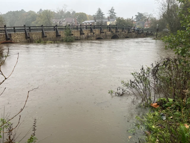 The River Wey at Tilford