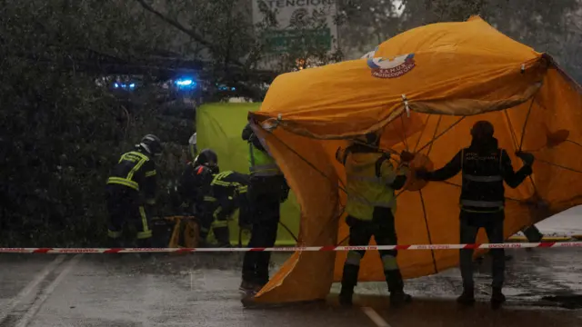 Emergency services put up a cover next to a fallen tree where a woman has died