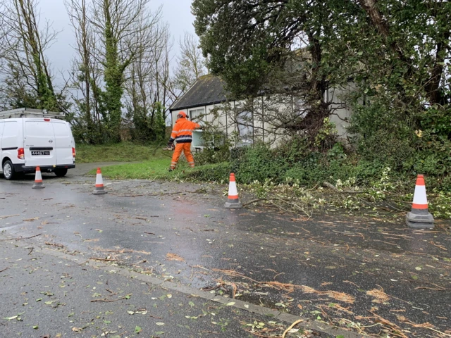 Trees being cut up in Guernsey