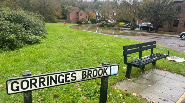 Gorrings Brook, Horsham